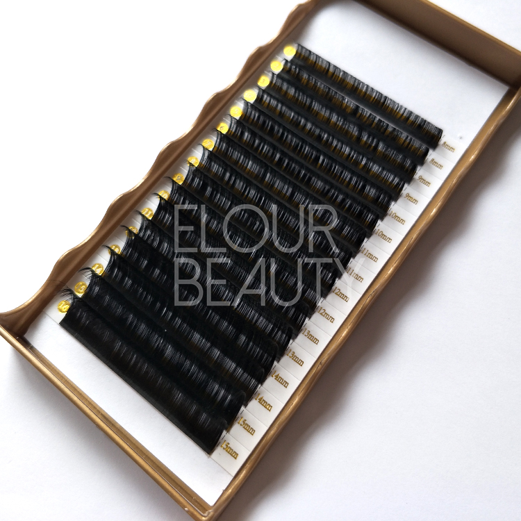 Professional manufactory Korean silk eyelash extensions China ED77